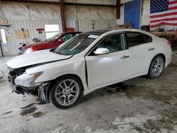 Salvage cars for sale from Copart Helena, MT: 2009 Nissan Maxima S