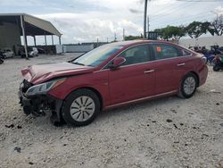 Salvage cars for sale from Copart Homestead, FL: 2016 Hyundai Sonata Hybrid