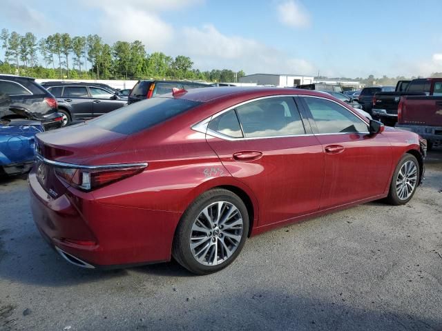 2019 Lexus ES 350