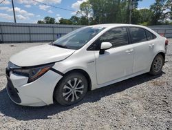 Toyota Corolla le salvage cars for sale: 2020 Toyota Corolla LE