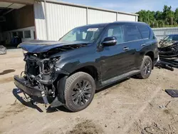 Salvage cars for sale at Grenada, MS auction: 2023 Lexus GX 460
