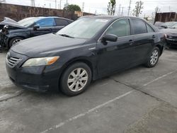 Salvage cars for sale at Wilmington, CA auction: 2008 Toyota Camry Hybrid