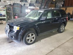 Salvage cars for sale from Copart Albany, NY: 2012 Ford Escape Limited