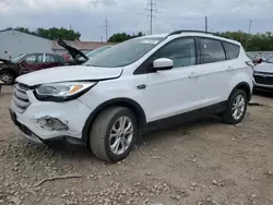 Salvage cars for sale at Columbus, OH auction: 2018 Ford Escape SE