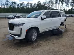 Cadillac salvage cars for sale: 2021 Cadillac Escalade Premium Luxury