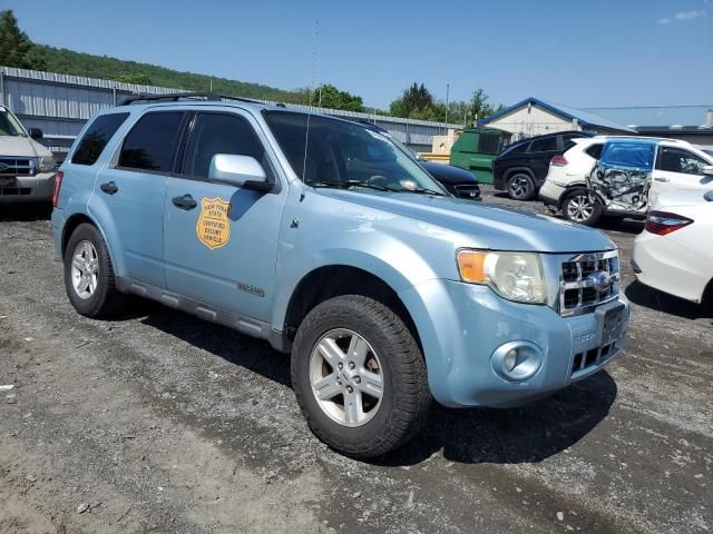 2008 Ford Escape HEV