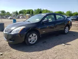 Nissan salvage cars for sale: 2010 Nissan Altima Hybrid