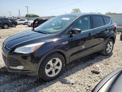 Salvage cars for sale at Franklin, WI auction: 2013 Ford Escape SE