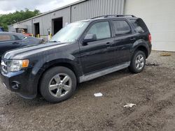 Ford Escape xlt salvage cars for sale: 2010 Ford Escape XLT