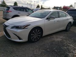 Salvage cars for sale at Finksburg, MD auction: 2020 Lexus ES 350