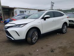 Salvage cars for sale at New Britain, CT auction: 2021 Toyota Venza LE