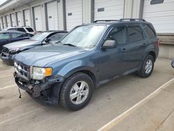 Ford Escape salvage cars for sale: 2010 Ford Escape XLT