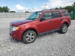 Salvage cars for sale at Barberton, OH auction: 2012 Ford Escape XLT