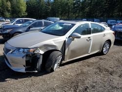 Salvage cars for sale at Graham, WA auction: 2014 Lexus ES 350