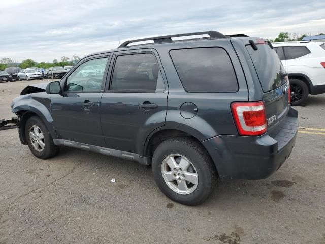 2009 Ford Escape XLT