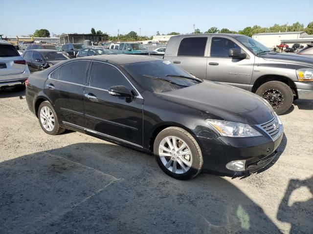 2011 Lexus ES 350