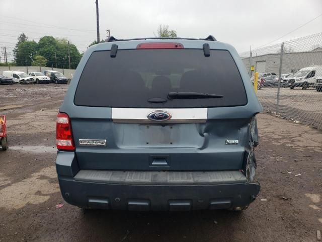 2011 Ford Escape Limited