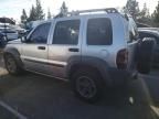 2005 Jeep Liberty Renegade