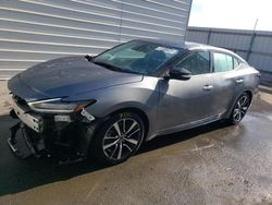 Rental Vehicles for sale at auction: 2023 Nissan Maxima SV