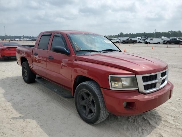 2010 Dodge Dakota SXT