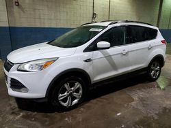 Ford Escape salvage cars for sale: 2013 Ford Escape SE