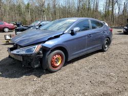 Salvage cars for sale from Copart Bowmanville, ON: 2019 Hyundai Elantra SEL