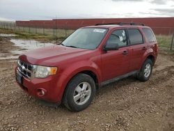 Vehiculos salvage en venta de Copart Rapid City, SD: 2012 Ford Escape XLT