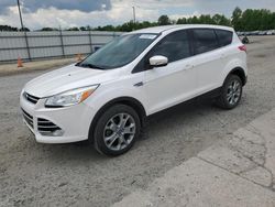 Salvage cars for sale at Lumberton, NC auction: 2013 Ford Escape SEL