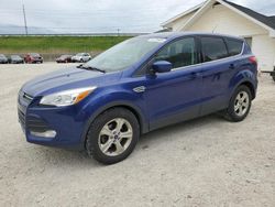 Salvage cars for sale at Northfield, OH auction: 2016 Ford Escape SE
