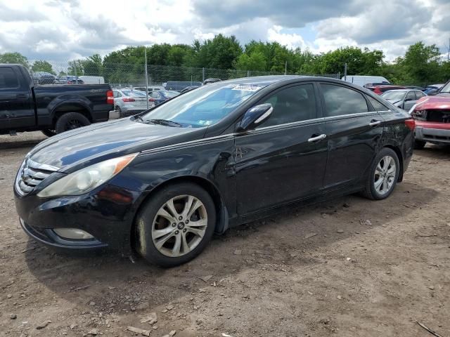 2011 Hyundai Sonata SE