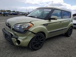 Salvage cars for sale at Eugene, OR auction: 2013 KIA Soul