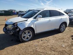 Salvage cars for sale from Copart Brighton, CO: 2011 Lexus RX 450