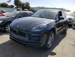 Salvage cars for sale at Martinez, CA auction: 2024 Porsche Macan Base