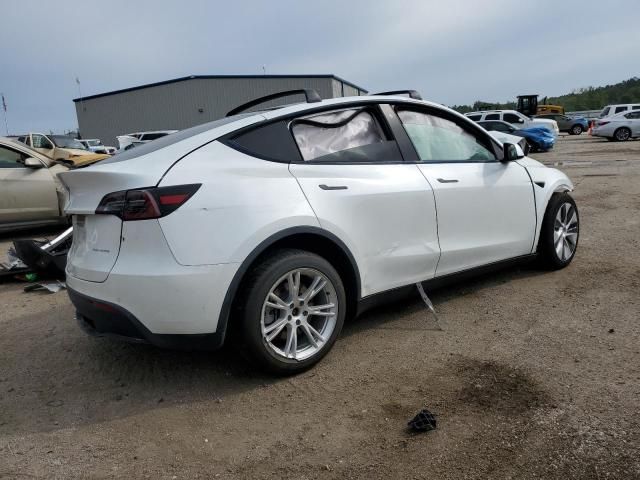 2020 Tesla Model Y