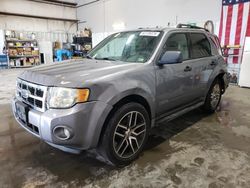 Salvage cars for sale at Rogersville, MO auction: 2008 Ford Escape XLT