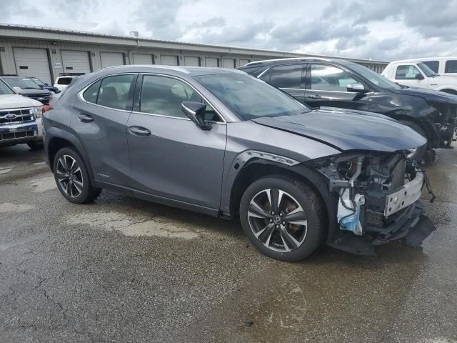 2019 Lexus UX 250H