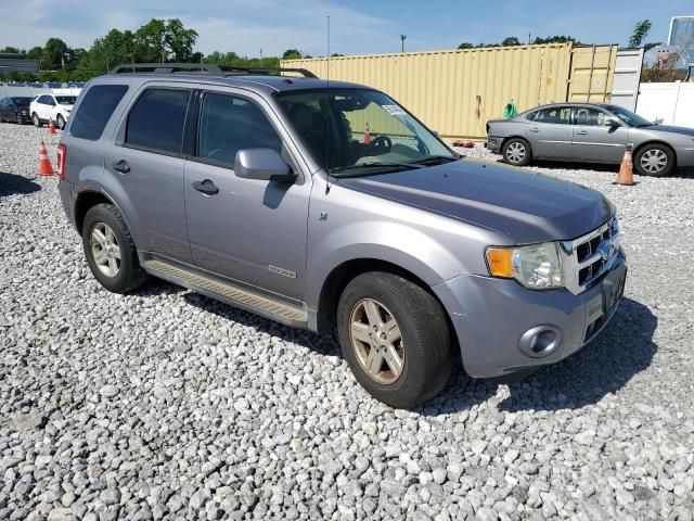 2008 Ford Escape HEV