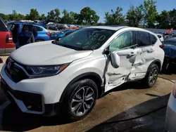 Salvage cars for sale at Bridgeton, MO auction: 2022 Honda CR-V EX