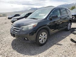 Salvage cars for sale at Magna, UT auction: 2013 Honda CR-V EX