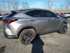 2023 Lexus NX 350