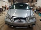 2010 Honda Odyssey EXL