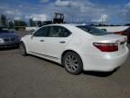 2009 Lexus LS 460