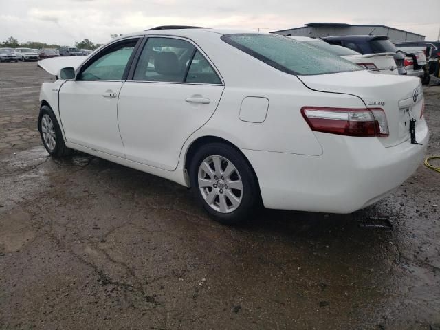 2009 Toyota Camry Hybrid