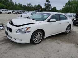 Salvage cars for sale at Hampton, VA auction: 2010 Nissan Maxima S