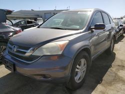 Vehiculos salvage en venta de Copart Martinez, CA: 2010 Honda CR-V EXL