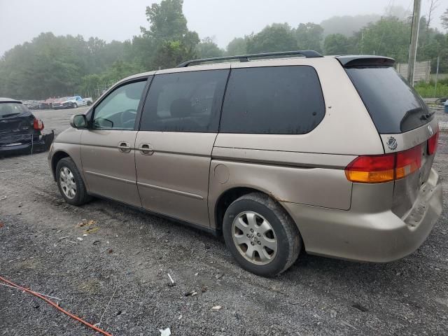 2004 Honda Odyssey EXL