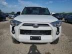 2021 Toyota 4runner SR5/SR5 Premium