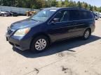 2010 Honda Odyssey EXL