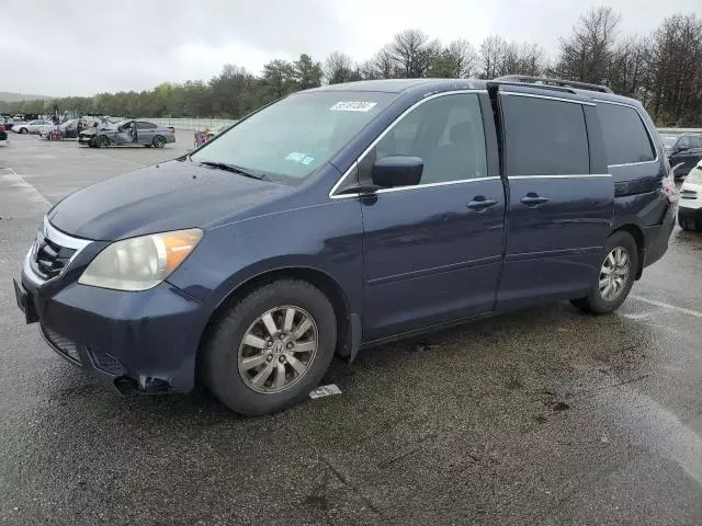 2008 Honda Odyssey EXL