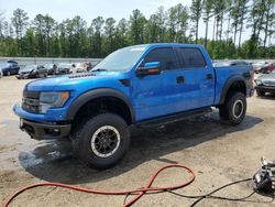 Salvage cars for sale from Copart Harleyville, SC: 2013 Ford F150 SVT Raptor